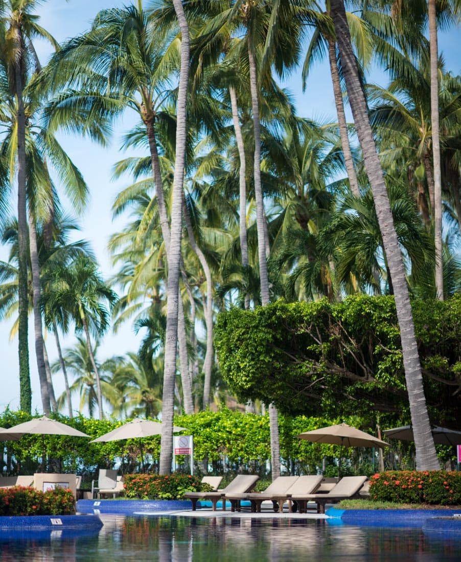 tropical-style-pool-surrounded-by-palm-trees-with-blue-sky